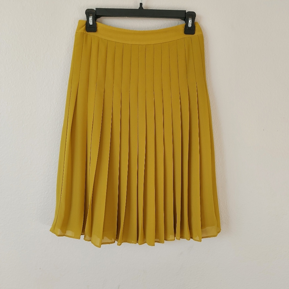 Pleated  Skirt